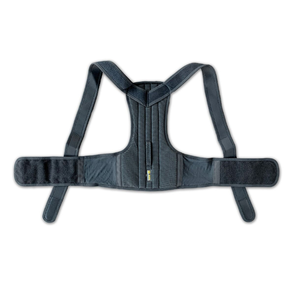 ALCONA BACK SUPPORT BELT Body Posture Wear