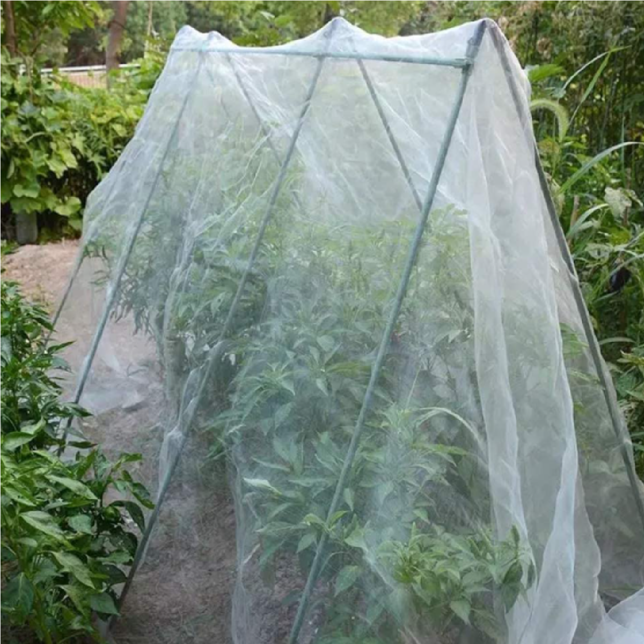 Green Hands INSECT BARRIER Netting 1.8M X 30M