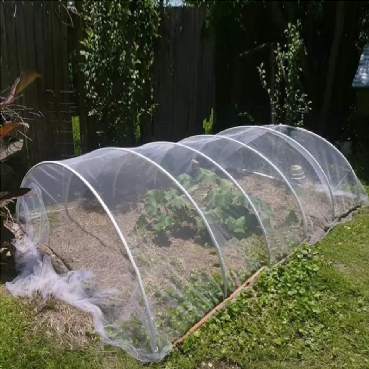Green Hands INSECT BARRIER Netting 1.8M X 30M