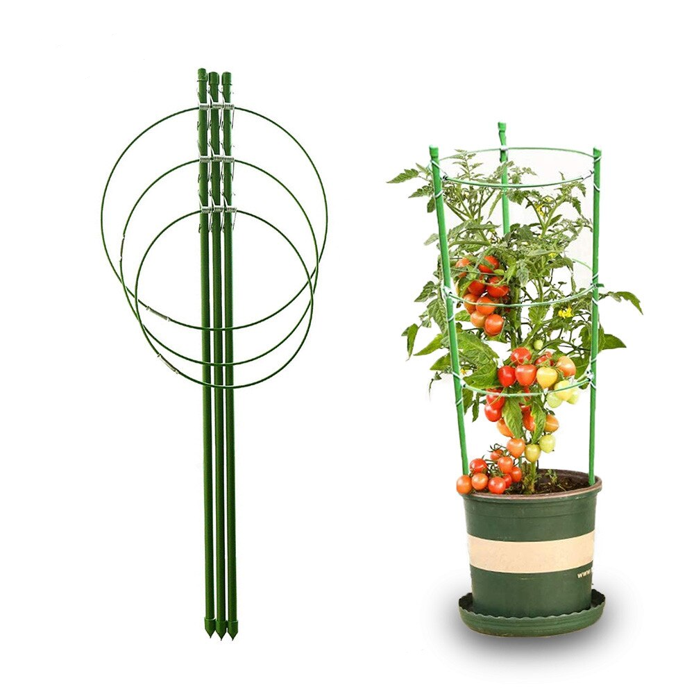 HardwareCity 60CM Plant Support Round Climbing Stick DA-6009 (60)