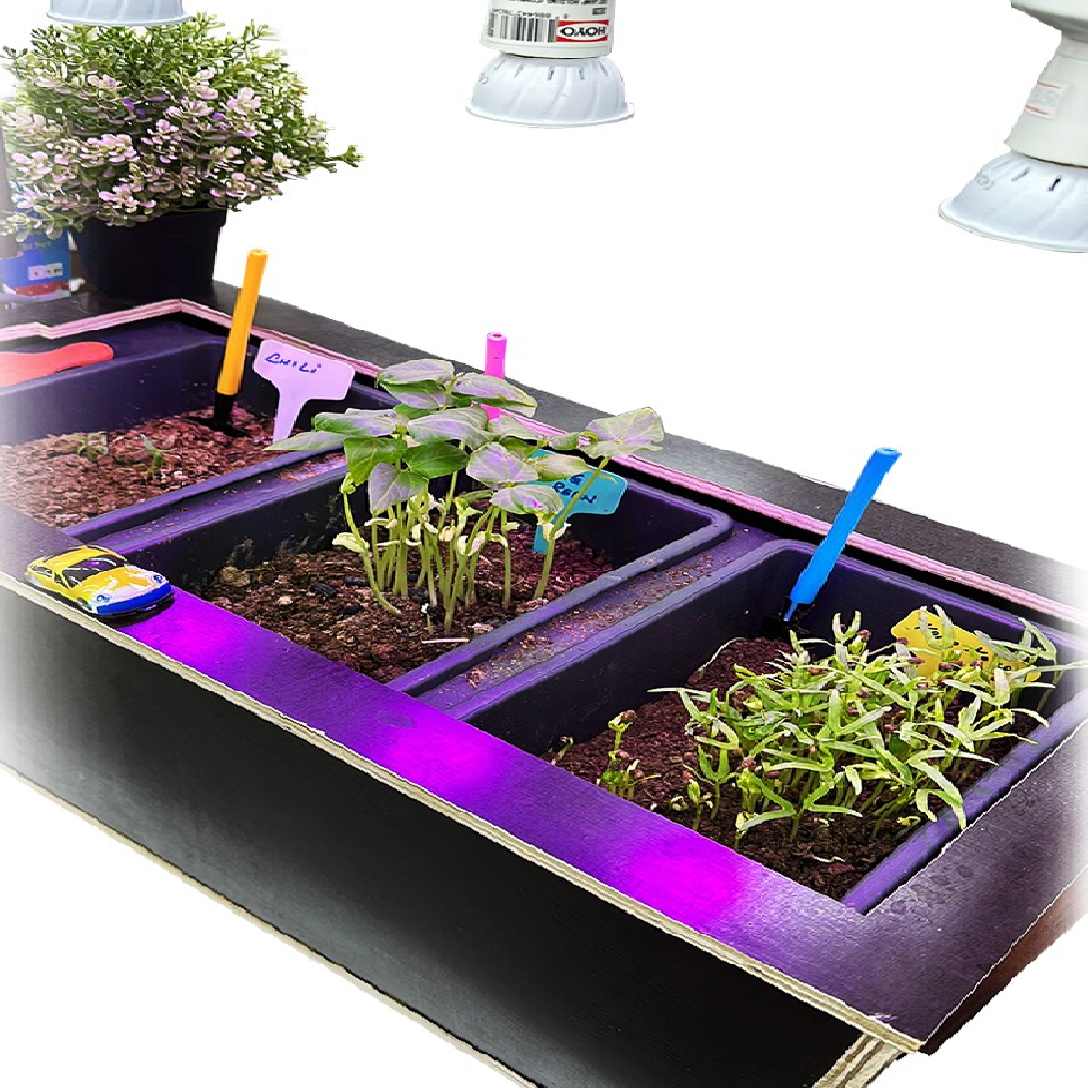 HardwareCity X Tramontina DIY Planter With UV Lights PLYWOOD FABRICATED