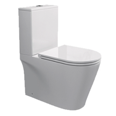 RIGEL NR-WB9030F WHIRLWASH Toilet Bowl
