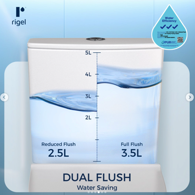 RIGEL Rimless WHIRLWASH Toilet Bowl WC8056F