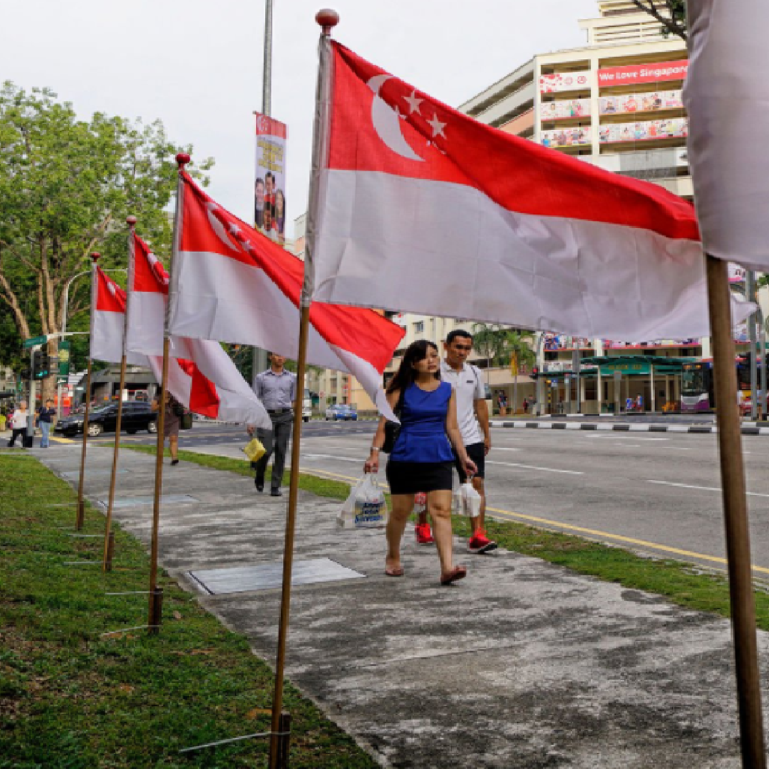 Singapore Flag 137CM X 91CM (Polyester Silk Fabric) With Red Pole Cap